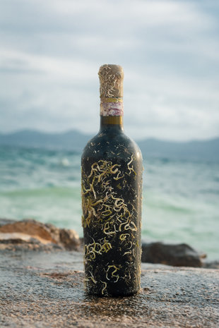 Coral Wine Aglianico Apollo