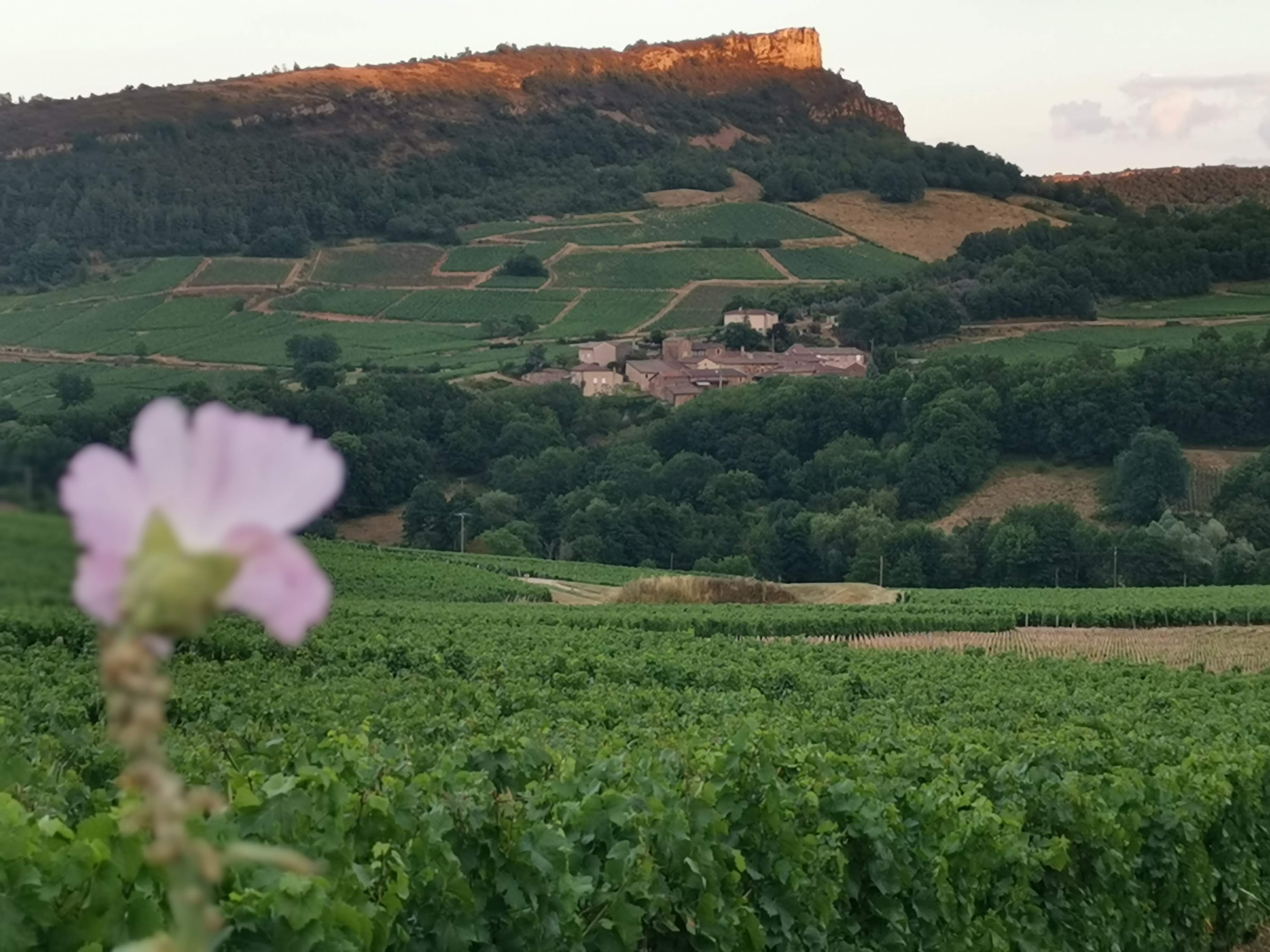 Domaine du Bois de lOise 2022